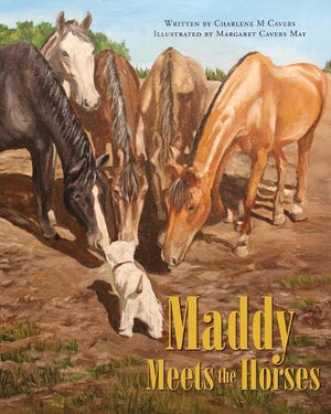 Maddy Meets the Horses
