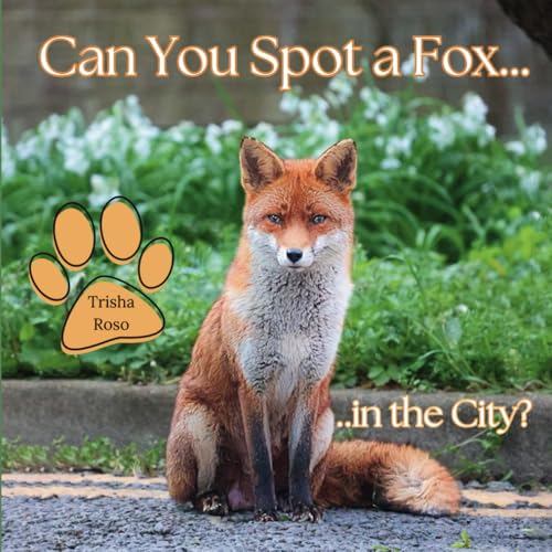 Can You Spot a Fox…in the City?