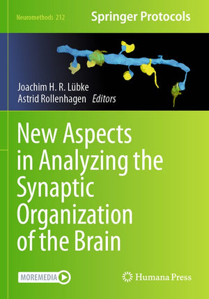 New Aspects in Analyzing the Synaptic Organization of the Brain