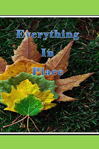 Everything In Place cover