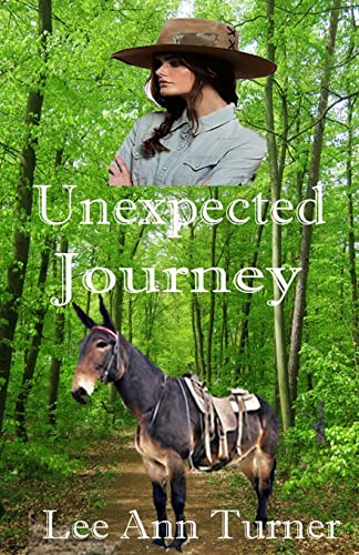 Unexpected Journey cover