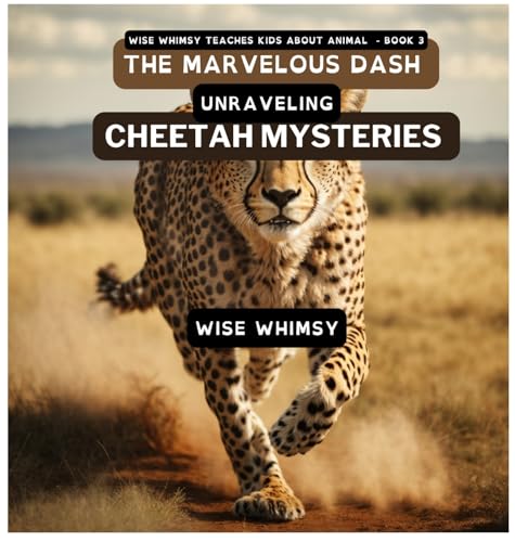 The Marvelous Dash