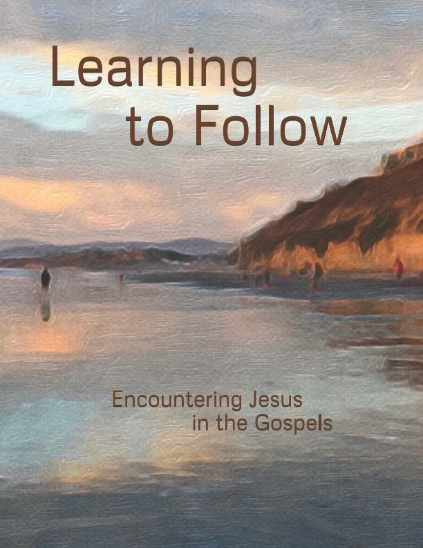 Learning to Follow: Encountering Jesus in the Gospels cover