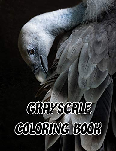 Grayscale Coloring Book