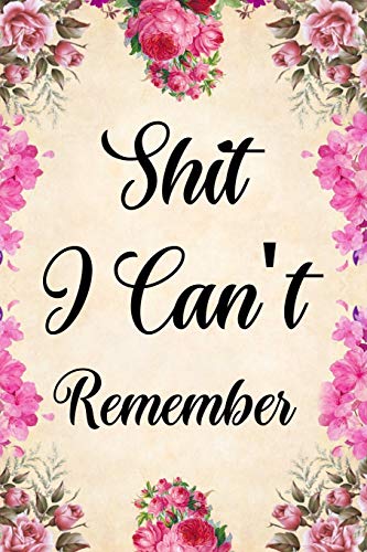 Shit I Can't Remember cover