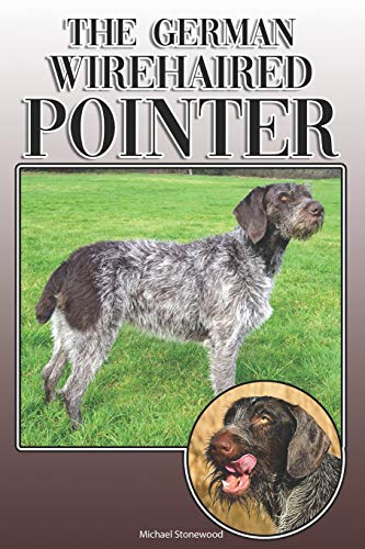 The German Wirehaired Pointer