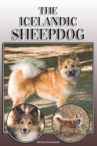 The Icelandic Sheepdog cover