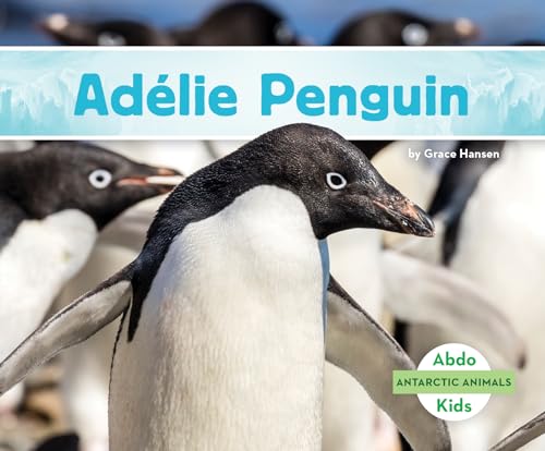 Adelie Penguin