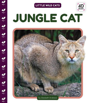 Jungle Cat