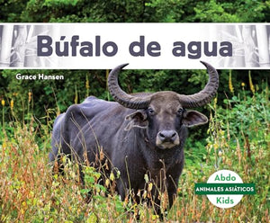 Bufalo de Agua (Water Buffalo) 