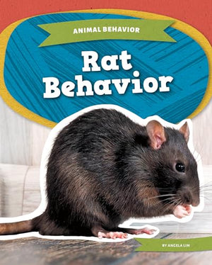 Rat Behavior