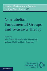Non-abelian Fundamental Groups and Iwasawa Theory 
