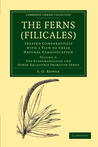 The Ferns (Filicales): Volume 2, The Eusporangiatae and Other Relatively Primitive Ferns