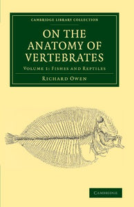 On the Anatomy of Vertebrates 