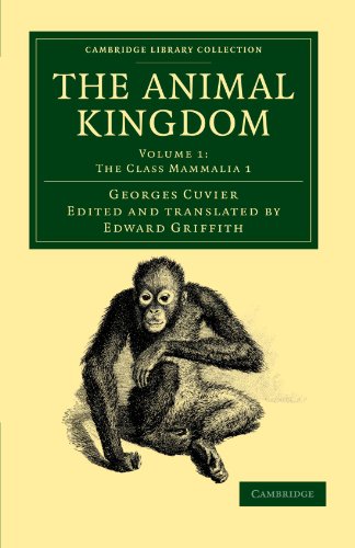 The Animal Kingdom