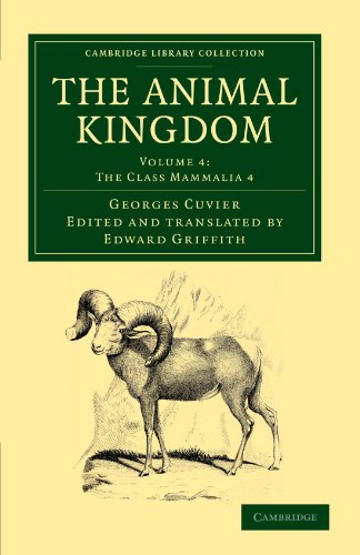 The Animal Kingdom