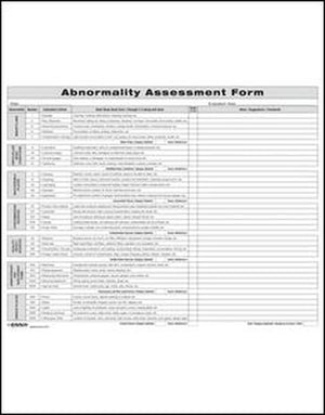 Abnormality Assessment Form
