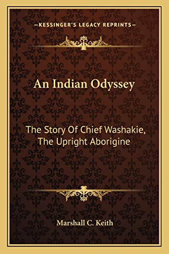 An Indian Odyssey cover