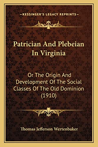 Patrician And Plebeian In Virginia cover