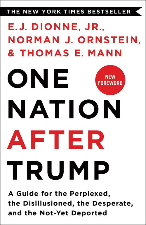 One Nation After Trump