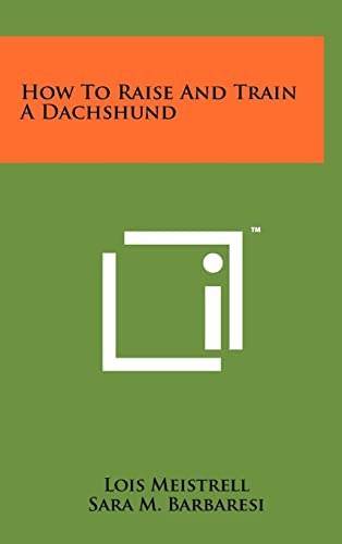How To Raise And Train A Dachshund cover