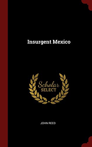 Insurgent Mexico