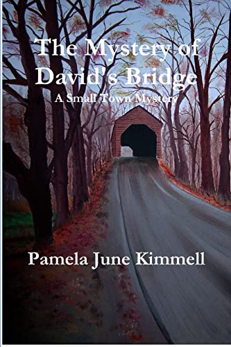 The Mystery of David's Bridge cover