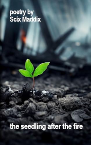 The seedling after the fire cover