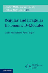 Regular and Irregular Holonomic D-Modules 