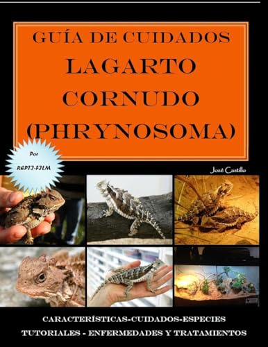 Guia de cuidados del lagarto cornudo (Phrynosoma) Version full color