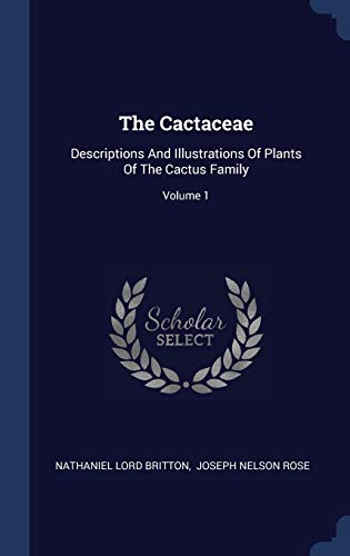 The Cactaceae