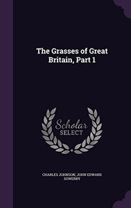 The Grasses of Great Britain, Part 1 
