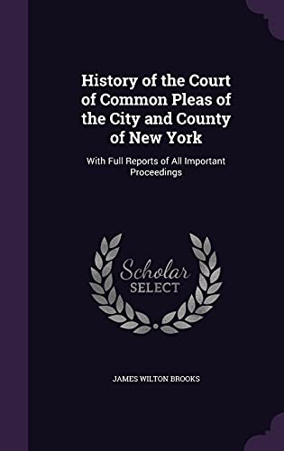 History of the Court of Common Pleas of the City and County of New Yor cover
