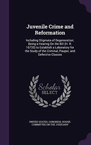 Juvenile Crime and Reformation cover