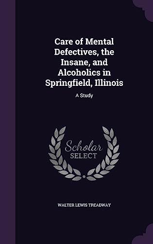 Care of Mental Defectives, the Insane, and Alcoholics in Springfield, cover
