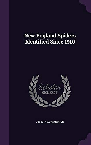 New England Spiders Identified Since 1910 cover