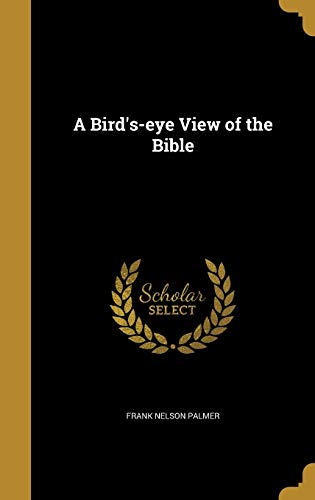 A Bird's-eye View of the Bible cover