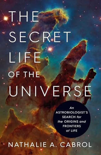 The Secret Life of the Universe