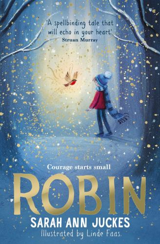 Robin: cosy up with a spellbinding winter story this Christmas cover art