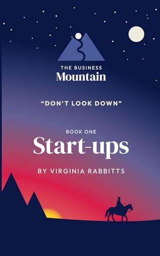 The Business Mountain - Don't Look Down