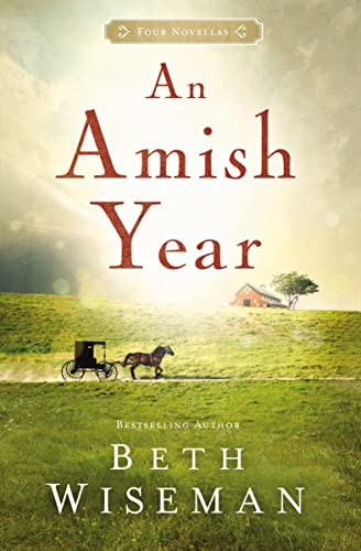 An Amish Year