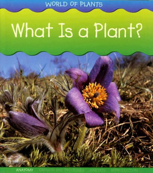 What Is a Plant?