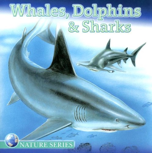 Whales, Dolphins and Sharks