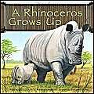 A Rhinoceros Grows Up