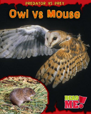Owl vs Mouse