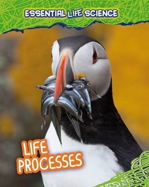Life Processes
