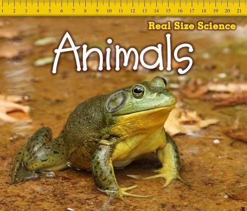 Animals cover