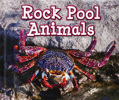 Rock Pool Animals