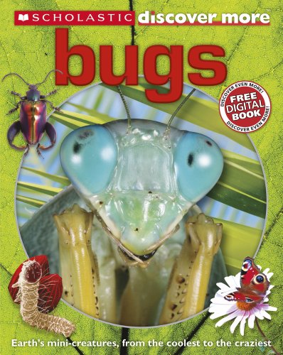 Scholastic Discover More: Bugs