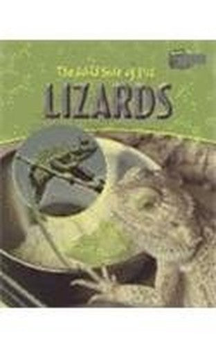 The Wild Side of Pet Lizards